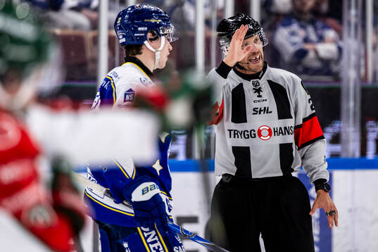 Domare Andreas Harnebring