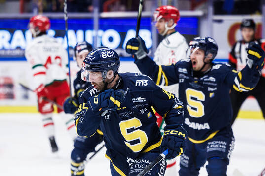 Södertäljes Sebastian Dyk jublar