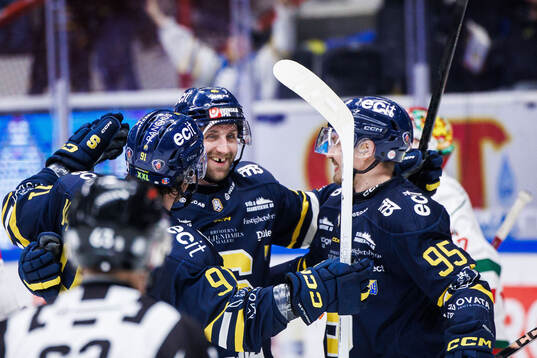 Södertäljes Sebastian Dyk jublar