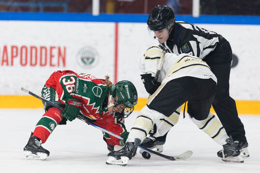 Frölundas Emilia Bergeby Hallbeck och SDEs Gabriela Jones