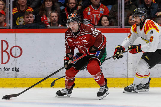 Örebros David Quenneville och Brynäs Tyler Vesel