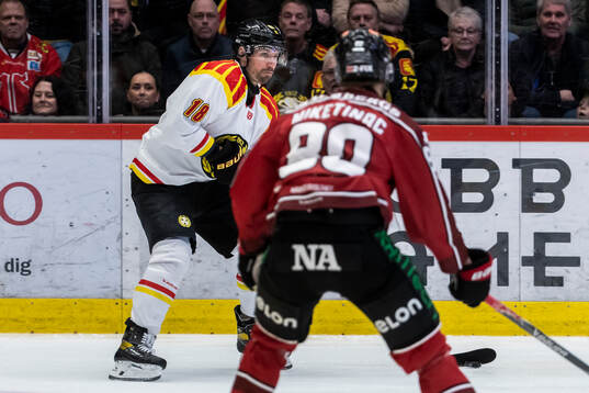 Brynäs Anton Rödin