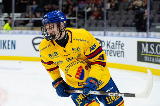 Djurgårdens Marcus Nordmark