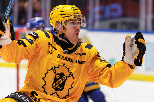 Skellefteås Andreas Johnson jublar