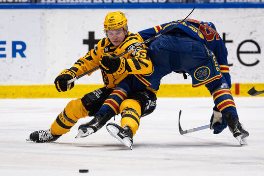 Skellefteås Zeb Forsfjäll