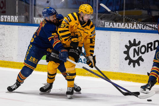 Djurgårdens Oliver Kylington och Skellefteås Emil Djuse