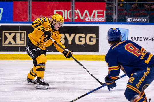 Skellefteås Zeb Forsfjäll