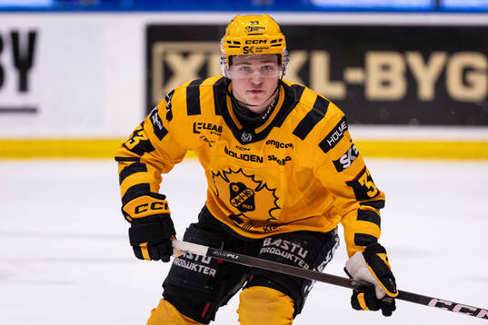 Skellefteås Zeb Forsfjäll