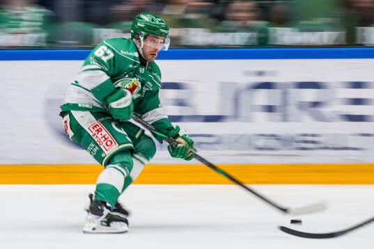 Rögles Leon Bristedt