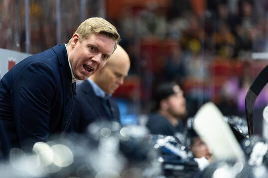 HV71s tränare Anton Blomqvist