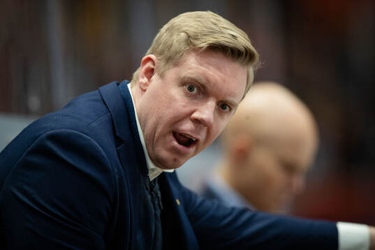 HV71s tränare Anton Blomqvist