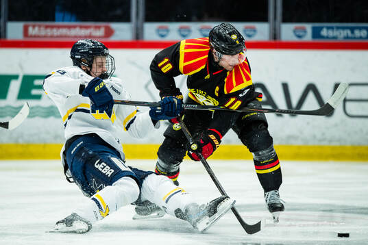 HV71s Malte Gustafsson och Brynäs Johan Larsson