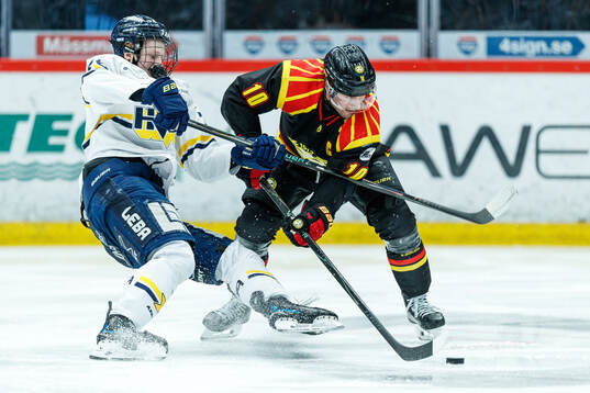 HV71s Malte Gustafsson och Brynäs Johan Larsson