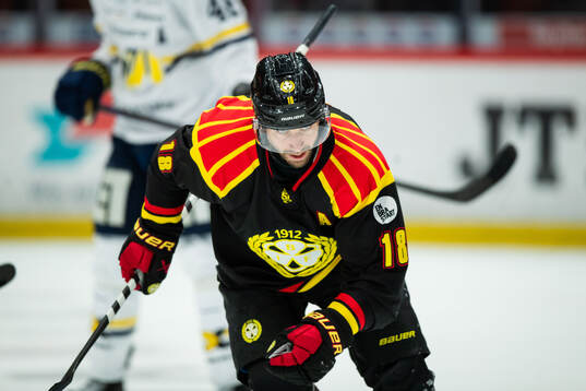 Brynäs Anton Rödin