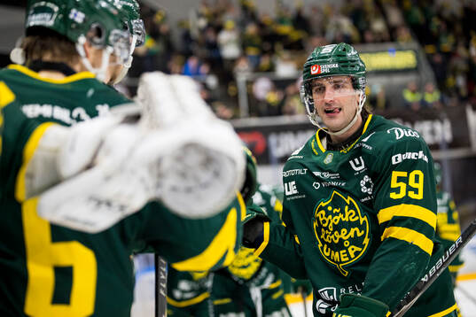 Björklövens Theoklis Theocharidis