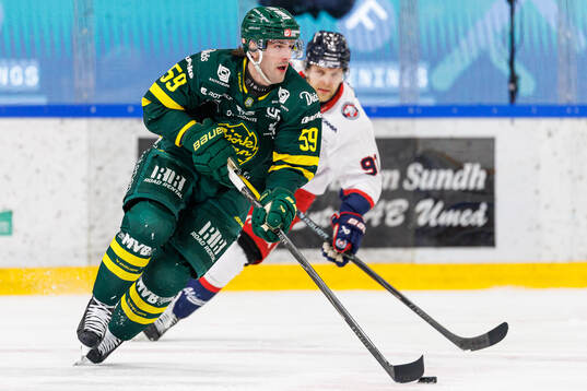 Björklövens Theoklis Theocharidis