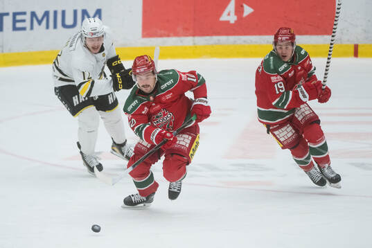 MoDos Gerry Fitzgerald