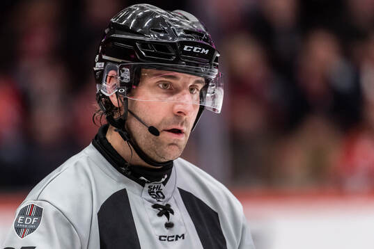 Domare Mikael Sjöqvist