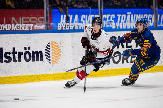 Malmö Redhawks Isac Nilsson och Djurgårdens Victor Eklund