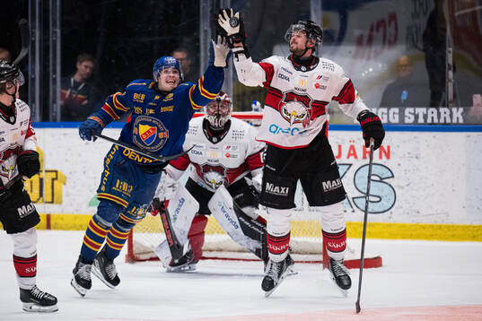 Djurgårdens Mathias Emilio Pettersen och Malmö Redhawks