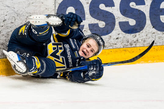 HV71s Martin Johnsen jublar