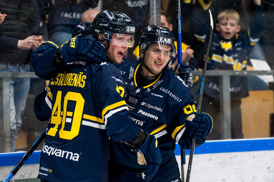 HV71s Martin Johnsen jublar