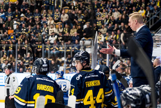 HV71s tränare Anton Blomqvist