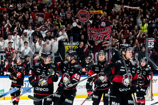 Malmö Redhawks spelare jublar