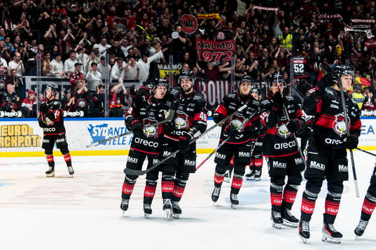 Malmö Redhawks spelare jublar