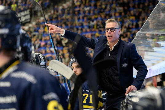 HV71s assisterande tränare Nicklas Rahm