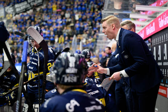 HV71s tränare Anton Blomqvist