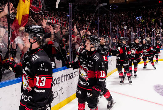 Malmö Redhawks spelare jublar