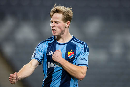 Djurgårdens Bo Hegland