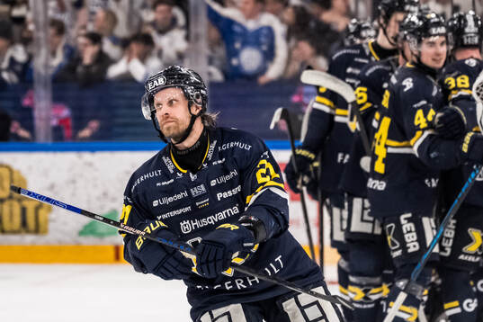 HV71s Mattias Tedenby jublar