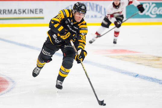 Skellefteås Rickard Hugg