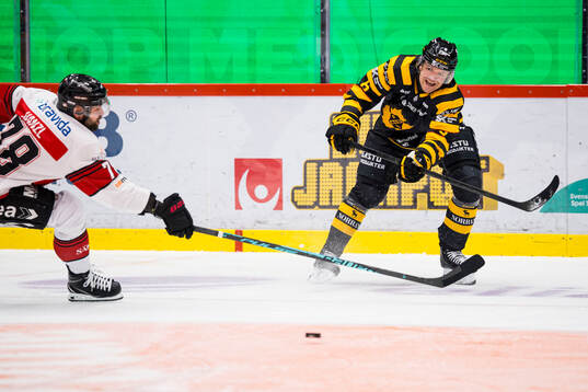 Skellefteås Måns Forsfjäll