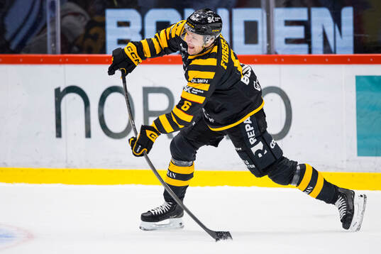 Skellefteås Måns Forsfjäll