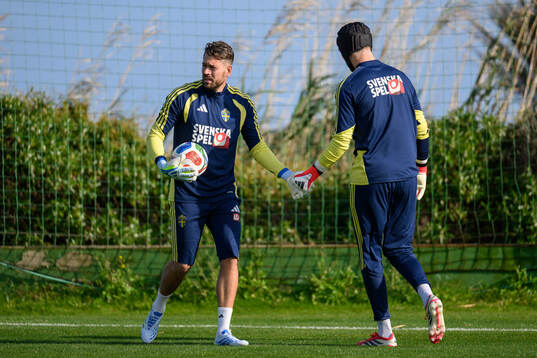 goalkeeper Kristoffer Nordfeldt and goalkeeper Noel