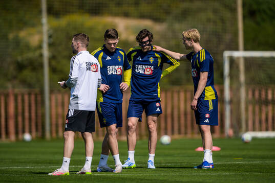 Assistant coach Sebastian Larsson, Viktor Gyökeres, Victor