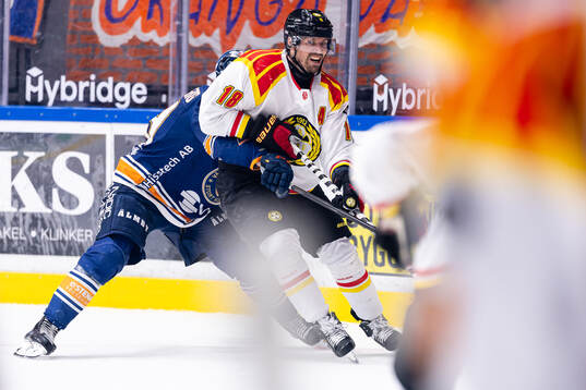 Brynäs Anton Rödin