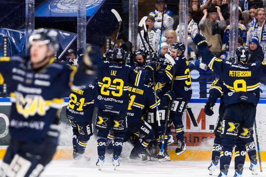 Spelare ur HV71 jublar