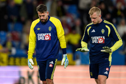goalkeeper Kristoffer Nordfeldt and goalkeeper coach Linus
