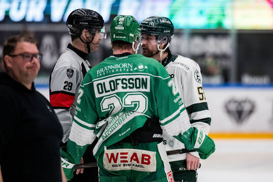 Domare Richard Magnusson och Rögles Fredrik Olofsson och