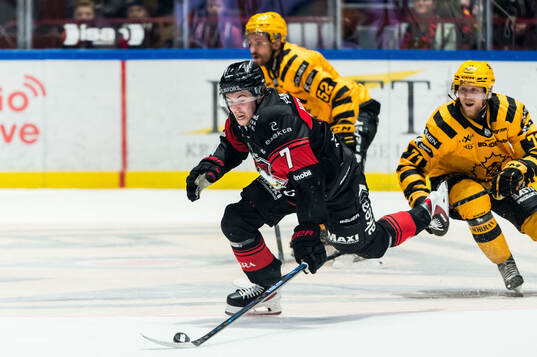 Malmö Redhawks Topi Niemelä och Skellefteås Jonathan