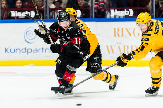 Malmö Redhawks Linus Öberg, Skellefteås Arvid Lundberg