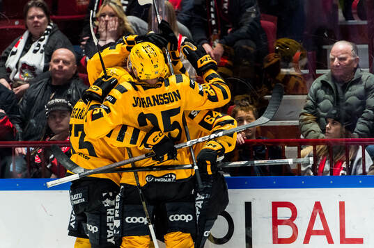 Skellefteås Jonathan Pudas jublar