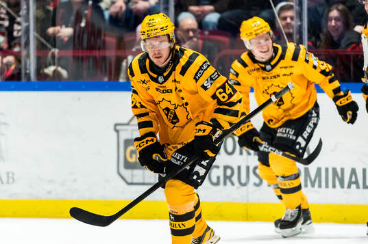 Skellefteås Jonathan Pudas jublar