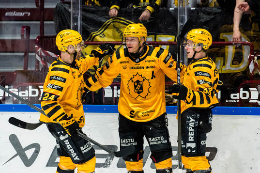 Skellefteås Rickard Hugg jublar