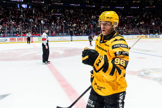 Skellefteås Rickard Hugg jublar