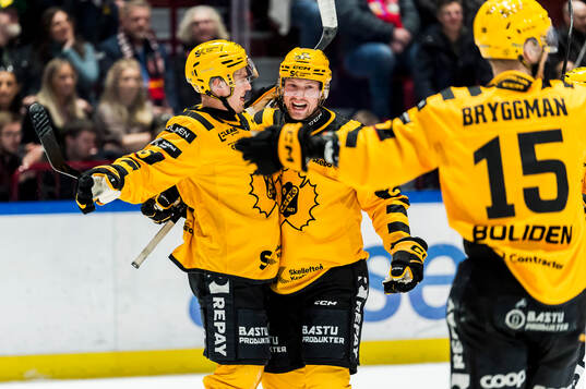 Skellefteås Pontus Johansson och Martin Lundberg  jublar